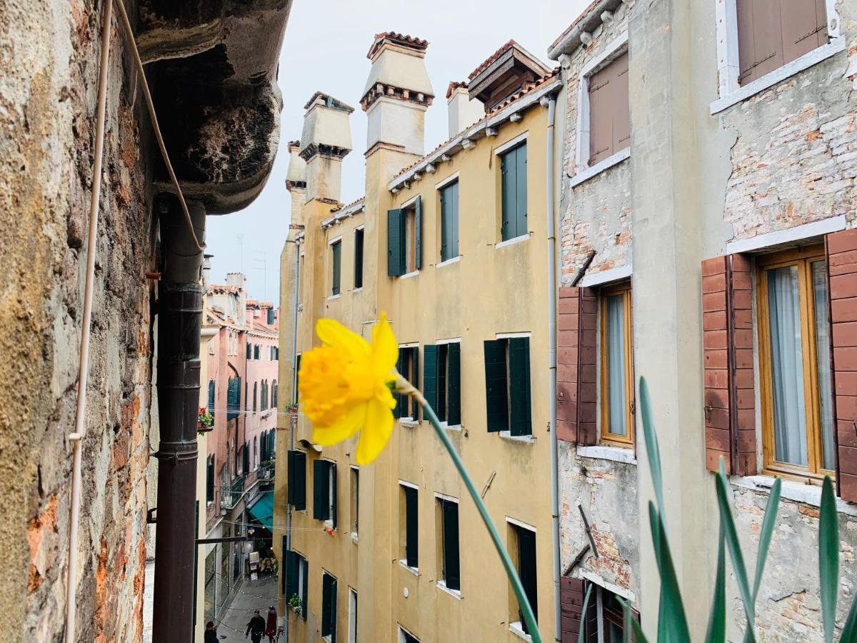 Rooftop Terrace Domus Dei Fabbri Venecia Exterior foto